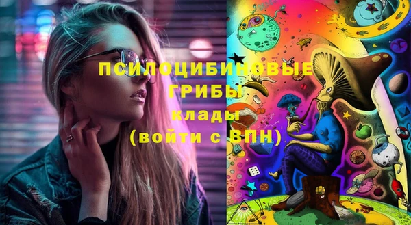 МДПВ Верхний Тагил