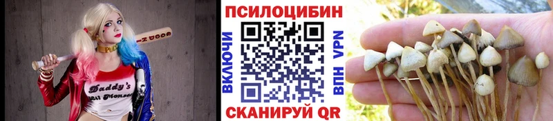 Галлюциногенные грибы прущие грибы  купить наркоту  Кимры 